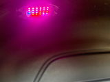 Ruby review photo