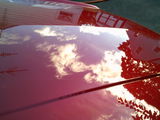 Benedict G.L. review photo
