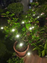 GlowX review photo