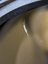 ced review photo