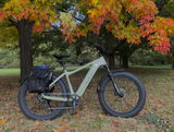 Pat R. review photo