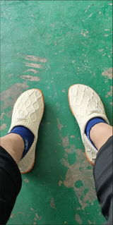 LinT review photo