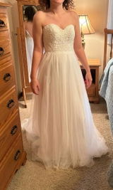 Taylor review photo