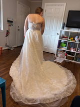 Bobbi review photo