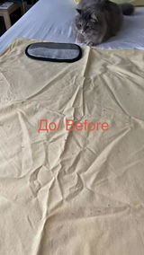 Austeja review photo