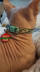 Keri N. review photo