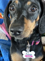 puppy m. review photo
