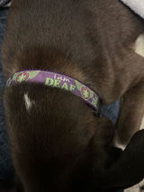 Roselyn D. review photo
