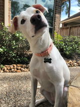 Amy review photo