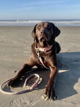 Hailey review photo