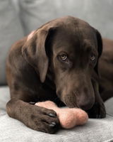 Hailey review photo