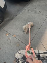 Jessica Rodriguez review photo