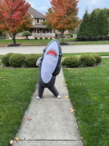 Steven Brownlow review photo