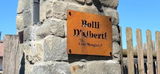Alessandra D'Alberti review photo