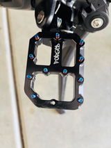 FAN YANG review photo