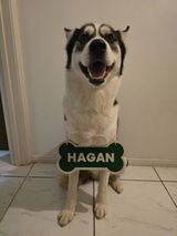 Bec (Hagan's Dog Treats) review photo