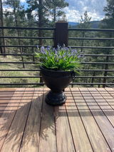 Karen Loucks Rinedollar review photo