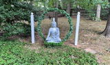 James Martino review photo