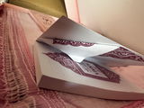 ESR review photo