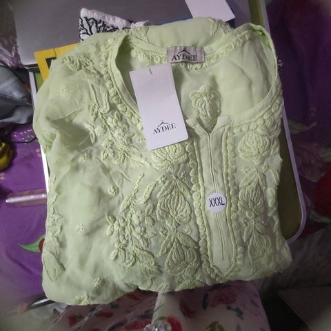 Hand Embroidered 3DChikankari Kurta  | Viscose | Pista Green