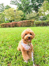Charmaine Tan review photo