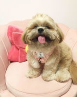 Elanne Goh review photo