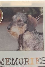 Armband mit graviertem Hundeportrait
