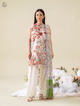 Kamiar Meer review photo