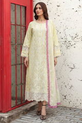 Shehbaz Bangash review photo