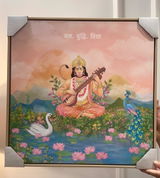 Shubhangi review photo