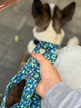 Anonymní review photo