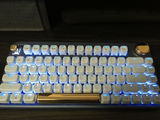 will lane review photo