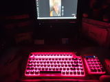 Lea Racca review photo