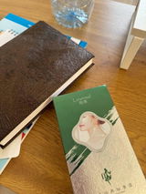 Monika Fitas review photo
