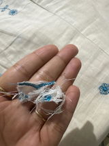 Kirti review photo