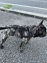 匿名 review photo