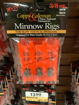 Ronnie Capps review photo