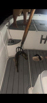 Swampdog tours review photo