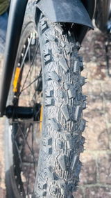 Reiner review photo