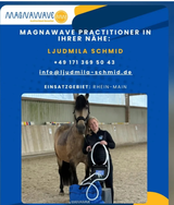 Ljudmila Schmid review photo