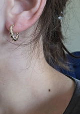 Graham S review photo