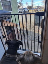 Kim review photo