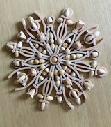 Becs review photo