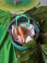 Cathy review photo