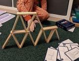 Fiona review photo