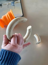 A.C. review photo