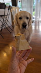 Mon V review photo