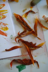 EvieTS review photo