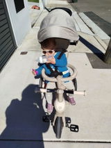 Elodie review photo