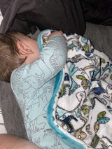 Roar! - Soft Baby Minky Blanket